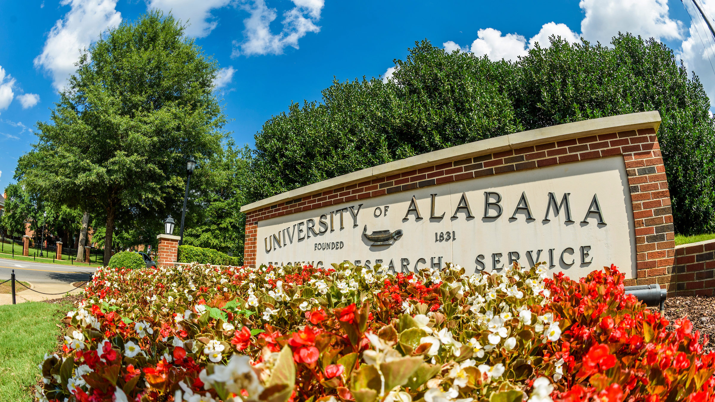UA campus sign behind flowerbed